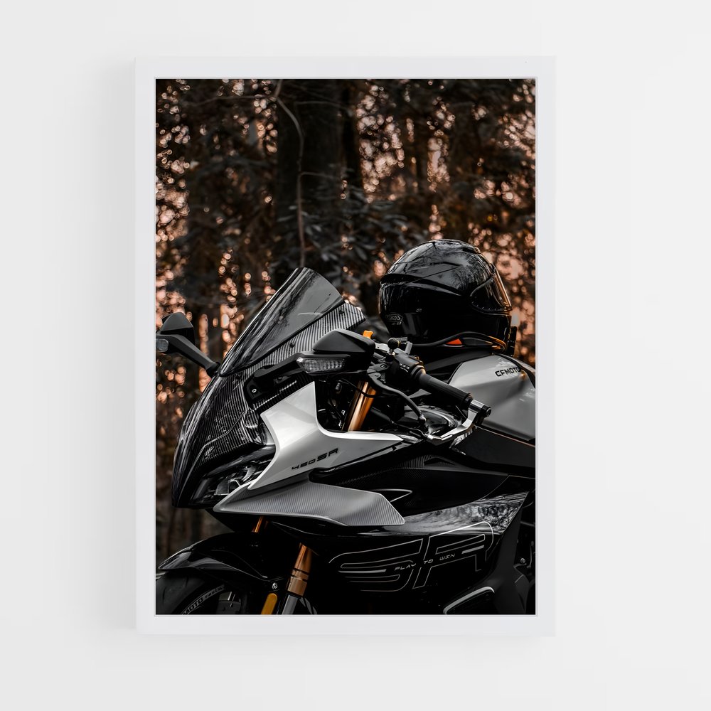 Poster Ride of Legends – affiche Sherco (vue 3)